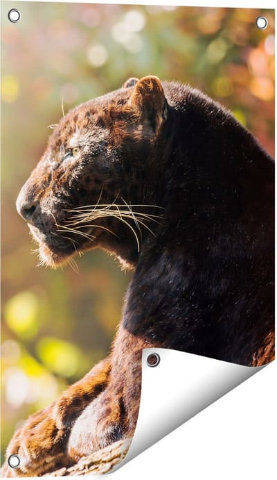 Gards Tuinposter Zwarte Panter vanaf de Zijkant - 40x60 cm - Tuindoek - Tuindecoratie - Wanddecoratie buiten - Tuinschilderij
