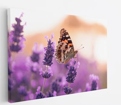 Saammp Canvas Schilderij - Vlinder bij lavendel - Bloemen - Dieren - Natuur - 30x20 - Foto op canvas - Wanddecoratie - muurdecoratie Woonkamer - Slaapkamer decoratie - Canvas Print
