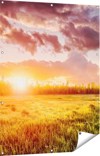 Gards Tuinposter Zonsopkomst in het Veld - 90x120 cm - Tuindoek - Tuindecoratie - Wanddecoratie buiten - Tuinschilderij