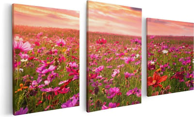 Artaza Canvas Schilderij Drieluik Kleurrijke Kosmos Bloemenveld - 120x60 cm - Wanddecoratie Woonkamer - Schilderijen - Muurdecoratie