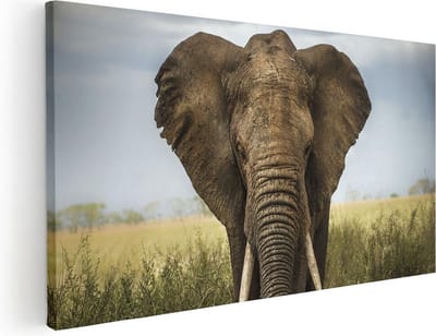 Artaza Canvas Schilderij Olifant - 40x20 cm - Klein - Wanddecoratie Dieren - Muurdecoratie Afrika - Schilderijen Op Canvas
