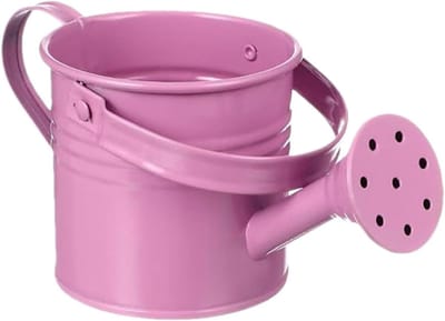 Decoratieve Tuingieter - Plantengieter IJzer - Planten Water Geven - Roestbestendig Ontwerp - 8x8x8 cm - Roze