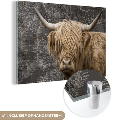 MuchoWow® Glasschilderij 120x80 cm - Schilderij acrylglas - Schotse hooglander - Wereldkaart - Dieren - Foto op glas - Schilderijen