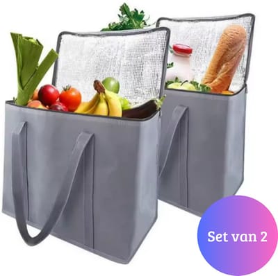Janse® Koeltassen 2 stuks - Koeltas grijs - Lunchtas zwembad - Koelzak - Eten - Coolerbag - Cooltas - Picknicktas
