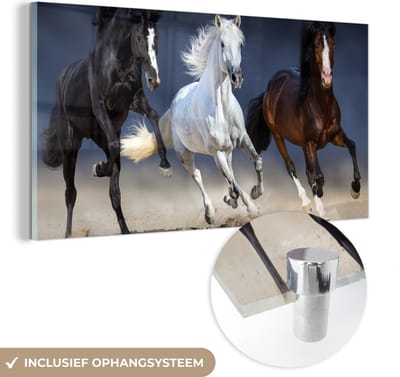 MuchoWow® Glasschilderij 120x60 cm - Schilderij acrylglas - Paarden - Dieren - Zand - Foto op glas - Schilderijen