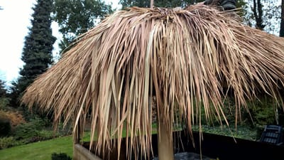 Terra Forsa Tiki Thatch Dikke Palmdakpanelen Alang - Alang - 10 Stuks (260x80 cm) - Natuurlijk Bruinig - Waterdichte Dakbedekking - Tropisch Dak - Eenvoudig te Installeren - Voor Festivals, Tiki Bar, Overkapping, Tuinhuis, Pergola