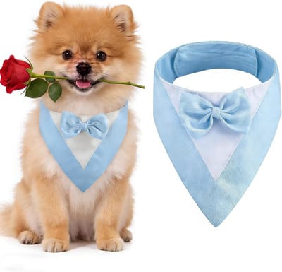 Tuxedo voor Honden met Strik, Geschikt voor Trouwen, Verjaardagen en Feestjes - Kostuum voor Kleine Honden (Hals: 20-30 cm/Blauw)