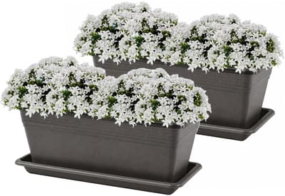 Plasticforte Plantenbakken met water opvangschotels - antraciet - 2x stuks - 40 x 18 x 15 cm - tuin - balkon - terras - rechthoek
