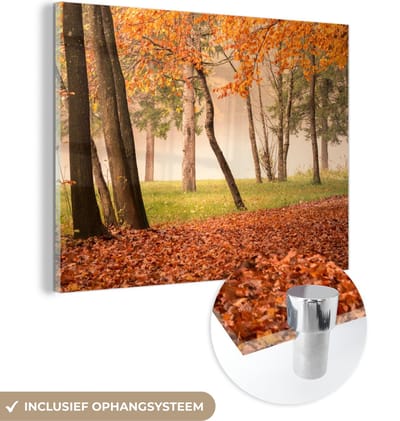 MuchoWow® Glasschilderij 40x30 cm - Schilderij acrylglas - Bladeren - Herfst - Bos - Foto op glas - Schilderijen