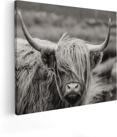 Artaza Canvas Schilderij Hooglander - 50x40 cm - Wanddecoratie Dierenkop - Muurdecoratie Woonkamer - Kamer Accessoires