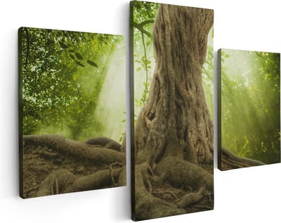 Artaza Canvas Schilderij Drieluik Grote Boom In Het Bos Met Wortels - 90x60 - Foto Op Canvas - Canvas Print