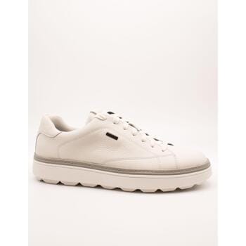 Lage Sneakers Geox U56LUC 00047 C1000