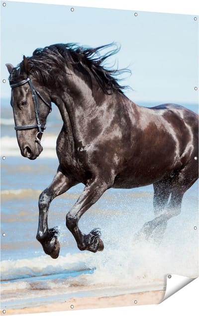 Gards Tuinposter Zwart Paard in het Water - 120x160 cm - Tuindoek - Tuindecoratie - Wanddecoratie buiten - Tuinschilderij