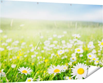 Gards Tuinposter Bloemenveld van Madeliefjes - Bloemen - 150x100 cm - Tuindoek - Tuindecoratie - Wanddecoratie buiten - Tuinschilderij