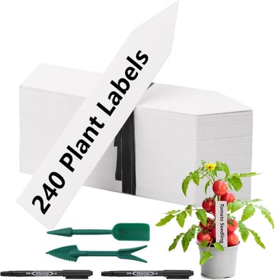 240 Stuks Plantenbordjes - Kunststof Plantenstekers 10 x 2 cm - Weerbestendig voor Tuin en Moestuin - Inclusief 2 Zwarte Markers en 2 Zaailingsgereedschappen