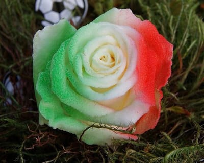 Vlag Italië rozen 10 stuks