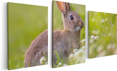 Artaza Canvas Schilderij Drieluik Konijn Tussen De Witte Bloemen - 120x60 - Foto Op Canvas - Canvas Print