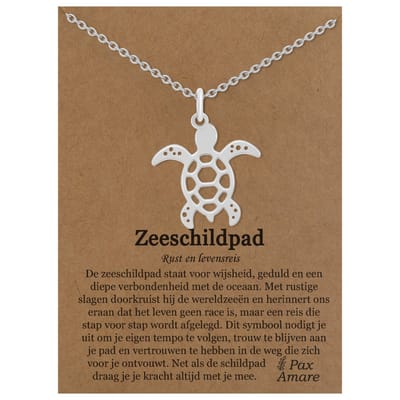 Stainless Steel Zeeschildpad Ketting op Cadeau Kaartje Zilverkleurig - 45cm + 5cm Verstelbaar Roestvrij Staal - Schattige Cadeau Hanger - Pax Amare
