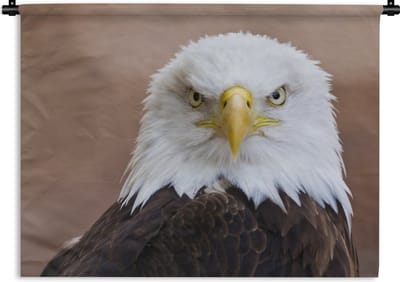 Wandkleed Amerikaanse zeearend - Amerikaanse zeearend kijkt recht in de camera Wandkleed katoen 150x112 cm - Wandtapijt met foto