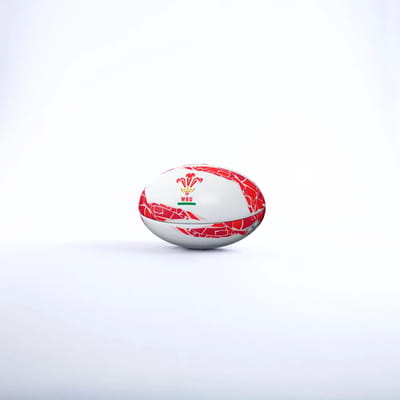 Rugbbal Pays de Galles Supporter
