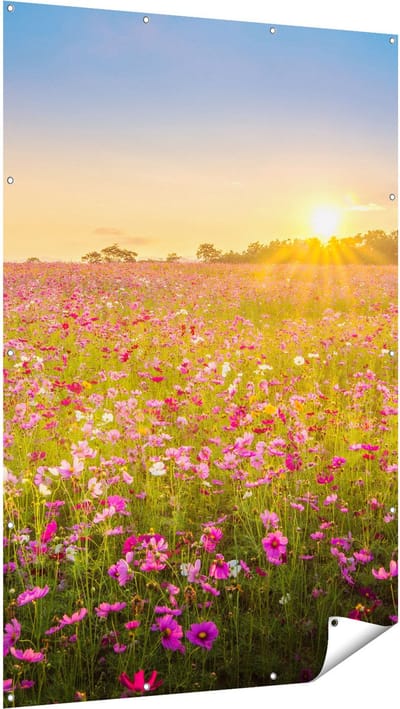 Gards Tuinposter Bloemenveld met Roze Kosmos - 120x180 cm - Tuindoek - Tuindecoratie - Wanddecoratie buiten - Tuinschilderij