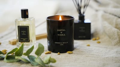 Cereria Mollà 1899 Geurkaars Santal & Tonka scented candle 230g 50 branduren soja was handmade soya wax katoenen lont