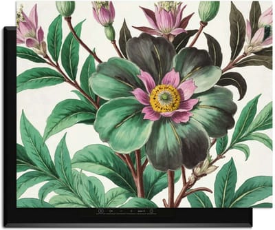 KitchenArt - Botanical Grace – Inductie Beschermer - 76x51.5 cm - Kookplaat Beschermer - Luxe Afdekplaat Inductieplaat - Anti-slip & Oprolbaar - Beschermmat Inductiekookplaat