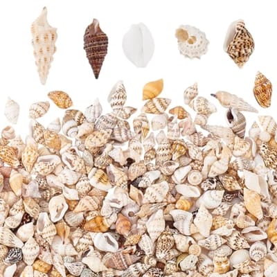 Mini schelpkralen zonder gat, 1300-1500 stuks, lichtgele kleur voor DIY decoratie