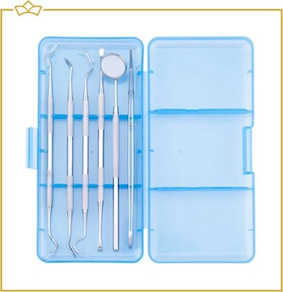 ATTREZZO® 7 delige RVS Tandverzorgingsset inclusief case - Gebitsverzorging - Tandenstokers - Tandverzorging - Tandenflosser - Flossen