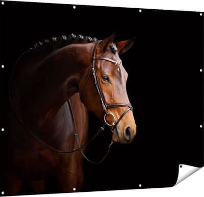 Gards Tuinposter Bruin Paard op een Zwart Achtergrond - 150x120 cm - Tuindoek - Tuindecoratie - Wanddecoratie buiten - Tuinschilderij