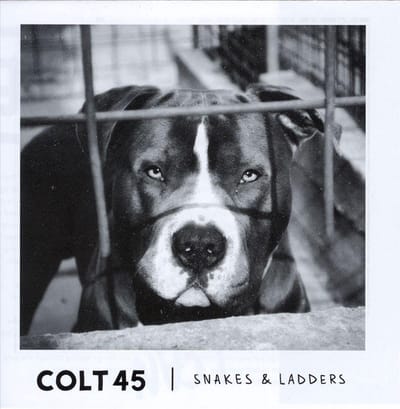 Snakes & Ladders - Cd