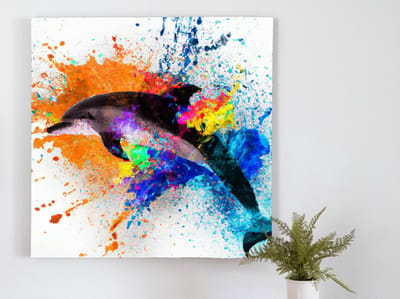 Splish splash dolphin | Splish splash dolphin | Kunst - 60x60 centimeter op Forex | Foto op Forex