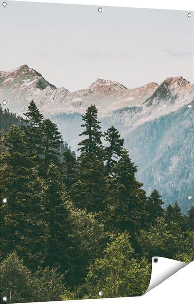 Gards Tuinposter Bos met Bomen in de Bergen - 90x120 cm - Tuindoek - Tuindecoratie - Wanddecoratie buiten - Tuinschilderij