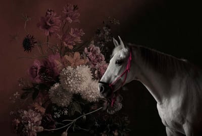 Fotobehang horses 1 DD110641 Livingwalls Walls by Patel | Fotobehang online webshop