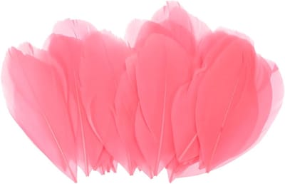 Set van 50 Natuurlijke Ganzenveren in Sunset Rood voor DIY Creaties, Bruiloft Decoraties en Droomvangers, Fluffy Pluimen van 9-8 cm