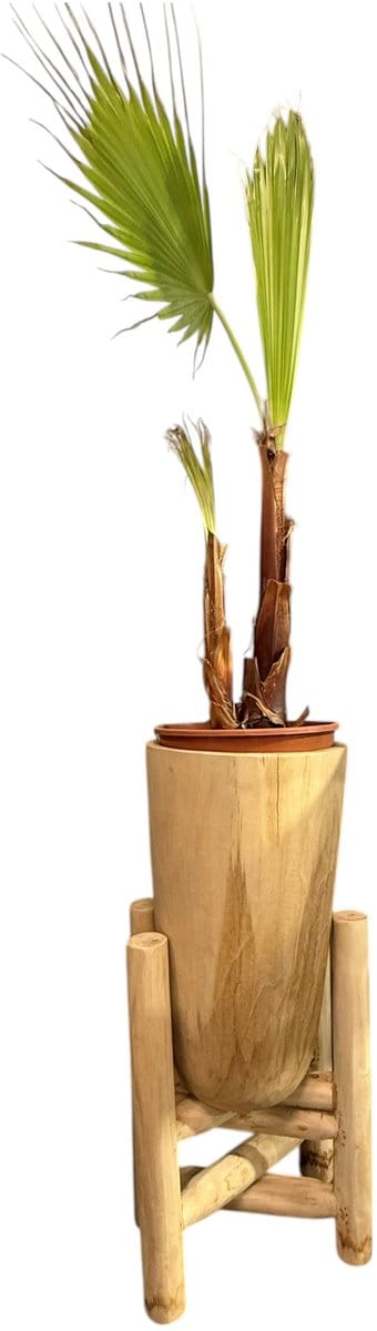 TeakOne - Teakhouten bloempot - Teak bloempot - Bloempot op standaard - Houten plantenhouder - Opvouwbare plantenstandaard - Bloempot met teak voet - Design plantenstandaard - Natuurlijke bloempot in Teak - Rustiek plantenmeubel