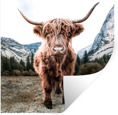Muurstickers - Sticker Folie - Schotse Hooglander - Berg - Dieren - 100x100 cm - Plakfolie - Muurstickers Kinderkamer - Zelfklevend Behang XXL - Zelfklevend behangpapier - Stickerfolie