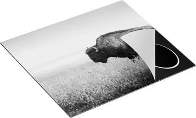 Chefcare Inductie Beschermer Bizon in het Gras - Zwart Wit - 60x50 cm - Afdekplaat Inductie - Kookplaat Beschermer - Inductie Mat