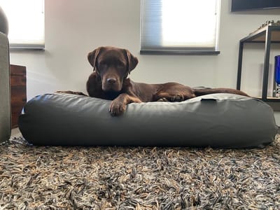 Dog's Companion Hondenkussen / Hondenbed - S - 70 x 50 cm - Kunstleer - Muisgrijs Leather Look