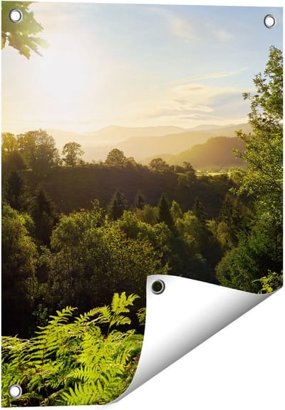 Gards Tuinposter Zonsondergang vanuit een Bos - 40x50 cm - Tuindoek - Tuindecoratie - Wanddecoratie buiten - Tuinschilderij