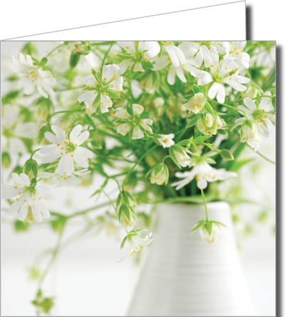 12 stuks Wenskaarten zonder tekst 14,5 x 14,5 cm incl envelop 6 x 2 stuks p3