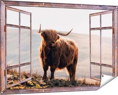 Gards Tuinposter Doorkijk Schotse Hooglander in de Heuvels van Schotland - 150x100 cm - Tuindoek - Tuindecoratie - Wanddecoratie buiten - Tuinschilderij