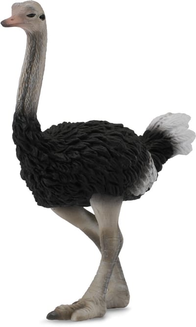 COLLECTA Figurine - Struisvogel - (L) - Wilde Dieren - Handgeschilderd - Miniatuur