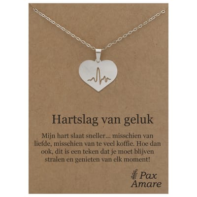 Stainless Steel Hartje met Levenslijn ketting op Cadeau Kaartje - Hartslag van geluk - 45cm Zilverkleurig Roestvrij Staal - Pax Amare