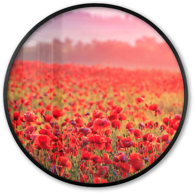 Poster in lijst Rond - Fotolijst 60x60 cm - Posters - Bloemen - Klaprozen - Rood - Bloemenveld - Ronde posterlijst zwart - Decoratie - Wanddecoratie woonkamer - Muurdecoratie slaapkamer