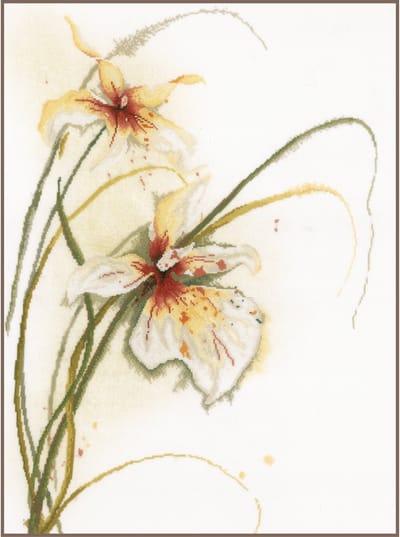 Lanarte Borduurpakket - Borduurset - Borduurpakket volwassenen - Telpakket kit - 50 x 60cm - Orchidee - PN-0008014