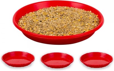 Voerschaal voor kipkuikens - 3 stuks - reptielen en knaagdieren - Rond 19cm diameter - Kunststof - Rood - Antislip - inclusief 500 gram voer