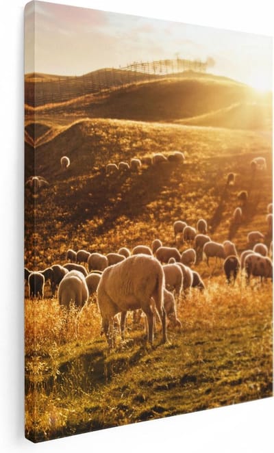 Artaza Canvas Schilderij Kudde Schapen - 30x40 cm - Klein - Wanddecoratie Dieren - Muurdecoratie Zonsondergang - Schilderijen Op Canvas