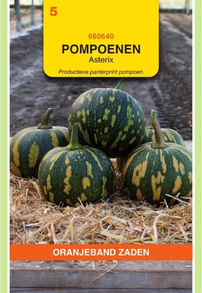 Oranjeband Zaden - Pompoen Asterix (Panterprint)