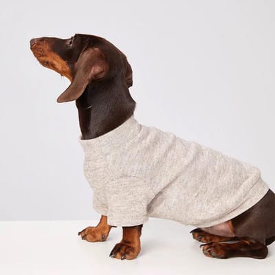 Wiener Sweater Honden Zacht Onderhemd Voor Dachshund Kleine Hond Winter Warm Mooi Huisdier Kat Hond Warm Ongevoerd Bovenkleding (as the picture,L(5.5-7.5kg))